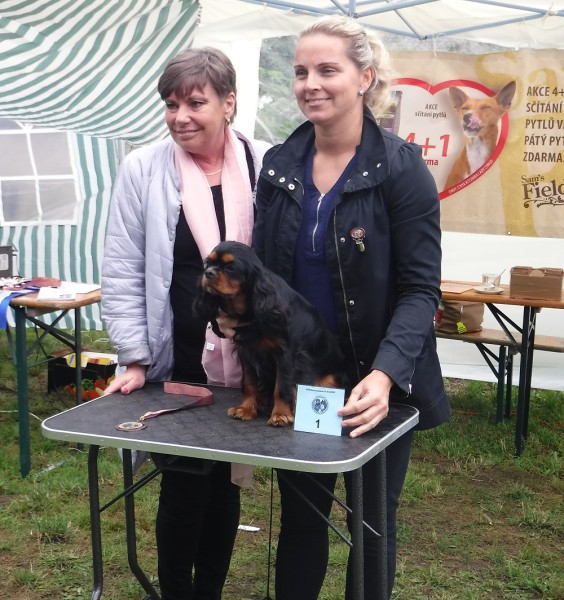 KV 2020-I, 11.7.2020, Městec Králové