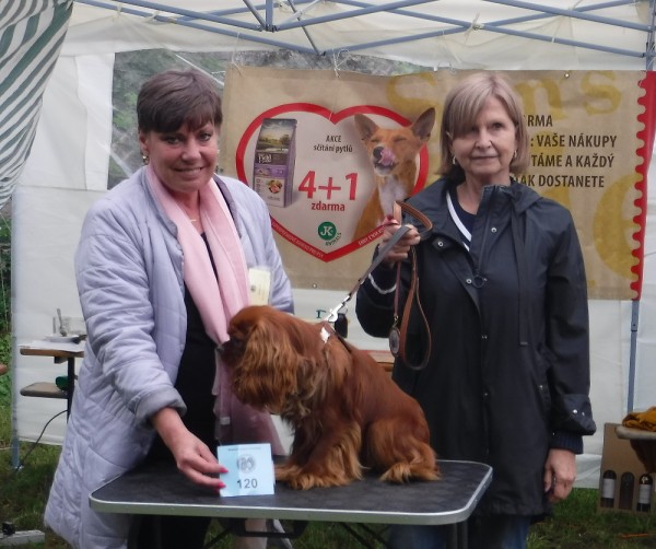 KV 2020-I, 11.7.2020, Městec Králové