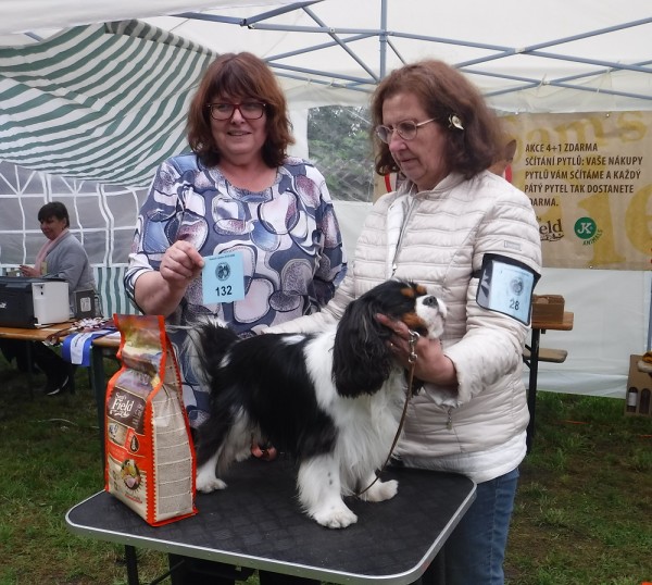 KV 2020-I, 11.7.2020, Městec Králové