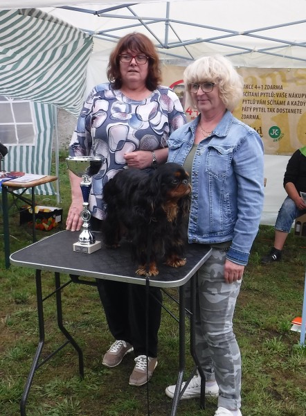 KV 2020-I, 11.7.2020, Městec Králové