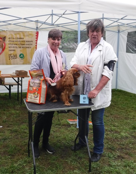 KV 2020-I, 11.7.2020, Městec Králové