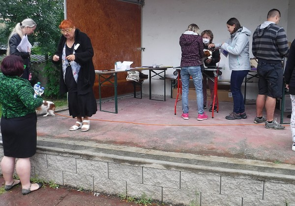 KV 2020-I, 11.7.2020, Městec Králové