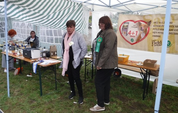 KV 2020-I, 11.7.2020, Městec Králové