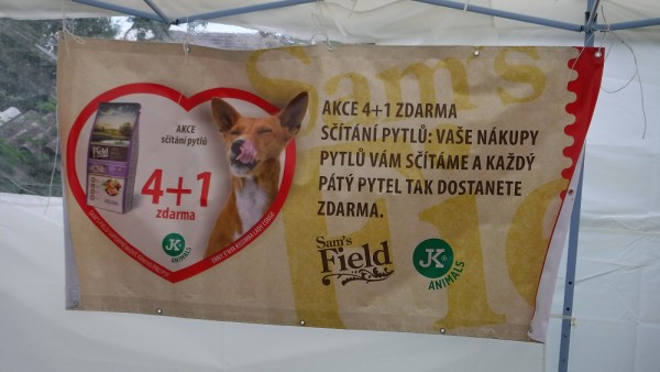 KV 2020-I, 11.7.2020, Městec Králové