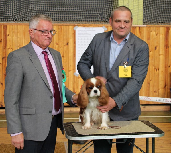 KV 2019-II, 19.10.2019, Rakovník